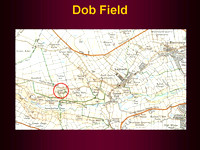 Farms - Dob Field