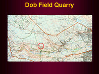 Quarries - Dob Field