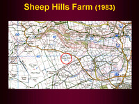 Farms - Sheep Hills