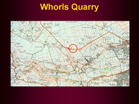 Quarries - Whorls