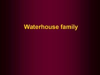 Families - Waterhouse