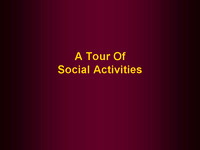 Tour - Social Activities